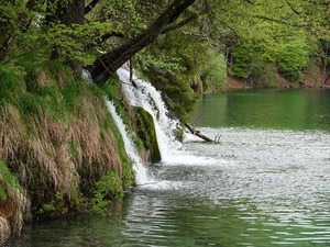 DSC00714_R