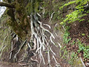 DSC00764_R