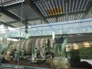 DSC07800_R