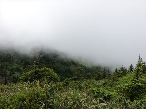 DSC06431_R