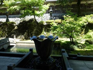 DSC05253_R