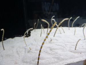 DSC07812_R