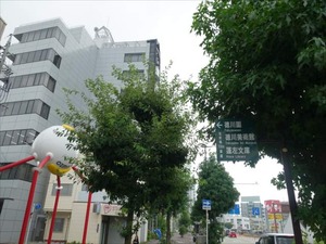 DSC07022_R