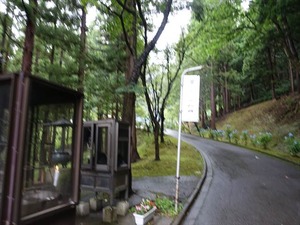 DSC06757_R