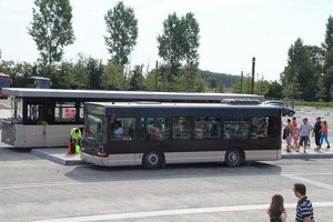 IMG_6107