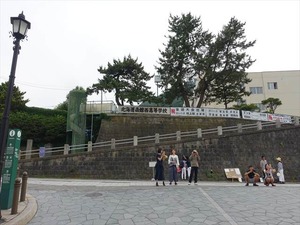 DSC00385_R