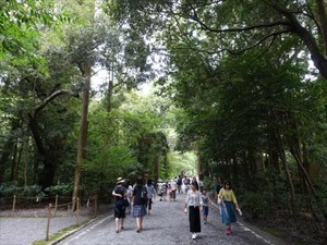 DSC07313_R