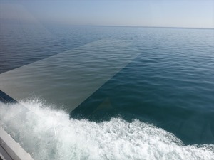 DSC05907_R