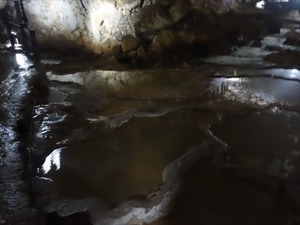 DSC09542_R