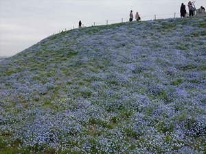 DSC00150_R