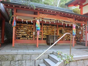 IMG_4802_R