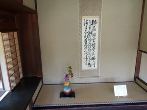 DSC05253_R