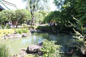 IMG_6584