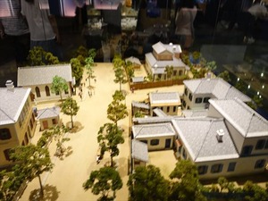 DSC05081_R