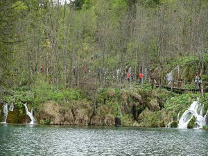 DSC00708_R