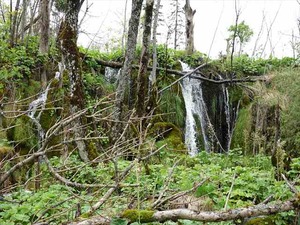 DSC00734_R