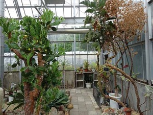DSC09452_R