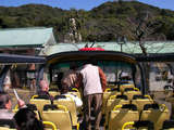 posamu4247397