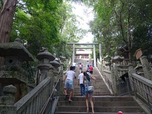 DSC01433_R