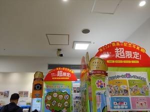 DSC02401_R