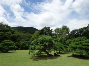 DSC07424_R