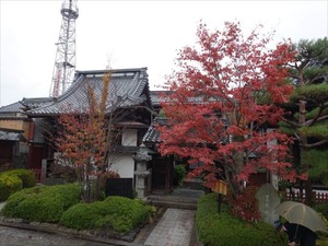 DSC00971_R