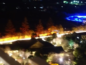 DSC01899_R