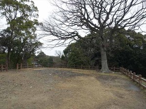 DSC08849_R