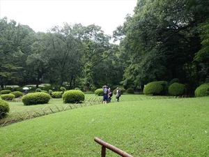 DSC02432_R