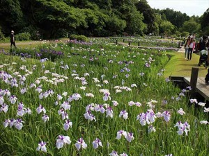 IMG_7116_R