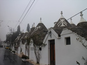 IMG_2256_R