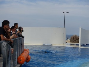 DSC05632_R
