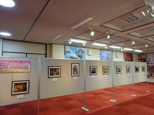 DSC05271_R