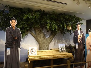 DSC02378_R