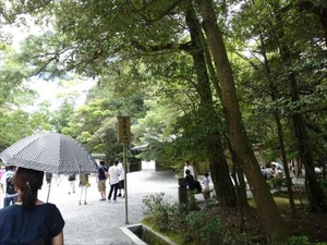 DSC07429_R