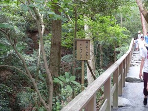 DSC07354_R