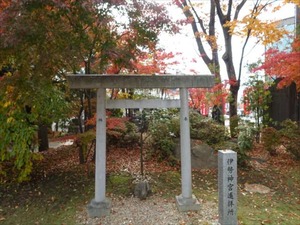 DSC01076_R