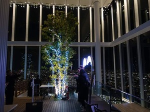 DSC05704_R