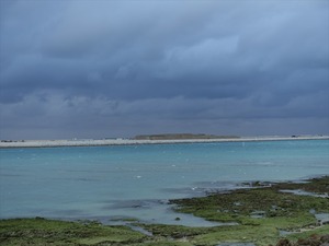 DSC07395_R