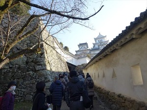 DSC01202_R