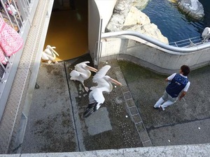 DSC05703_R