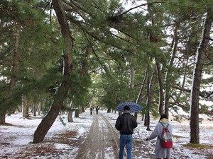 IMG_2690_R