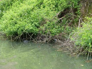 DSC04627_R