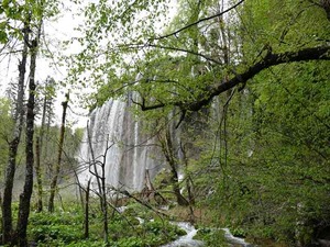 DSC00784_R