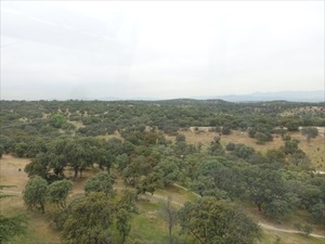 DSC03795_R