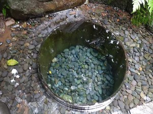 DSC02461_R