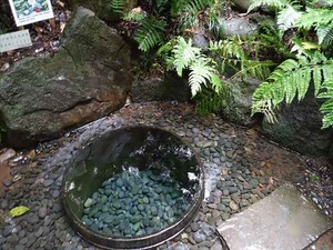 DSC02463_R