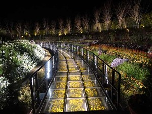 DSC02612_R