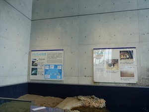 DSC05684_R