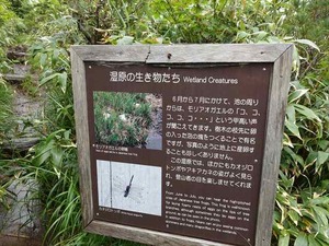 DSC06433_R